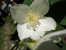 P6060175