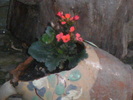 iulie 2010 074