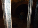 iulie 2010 055