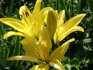 DSC07307