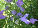 DSC07309