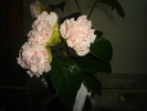 DSC03004