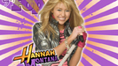 les-presento-a-HANNAH-MONTNA-hannah-montana-8628426-1024-768