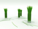 Cool Wallpaper 3D Poze 3D Free 2008 Desktop