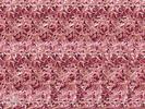 stereograms 096