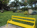 DSC03456