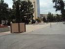 DSC03467