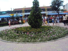 DSC03474