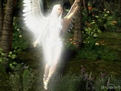 angel_morning_theme-198503-1229307445[1]