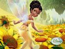 iridessa_wall01[1]