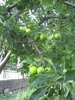 PICT0005