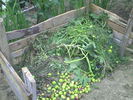 lada pt compost
