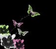 butterfly-fantasy-pretty-pattern[1]