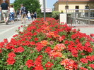 16.06.2010 (63)