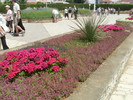 16.06.2010 (75)