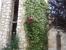 16.VI.2010 (9)