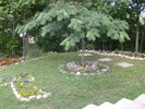 HPIM5061