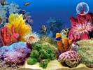 3D_Tropical_Fish_Aquarium_Scene_2_1