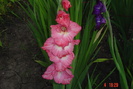 poze noi 585
