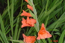 poze noi 587