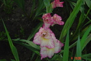poze noi 588