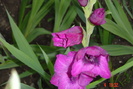 poze noi 593