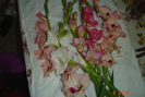 poze noi 597