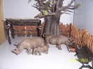 rinoceri schleich