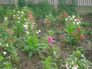 DSC05505