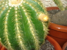 DSC05518