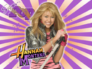 les-presento-a-HANNAH-MONTNA-hannah-montana-8628426-1024-768[1]