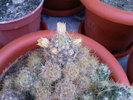 Fotografii-0033
