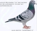 nl96-521