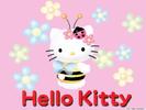 hello-kitty-wallpaper-hello-kitty-picture-free-hello-kitty-wallpaper-downloads_800x600[1]
