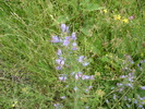 P1020540