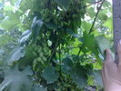 020720104907