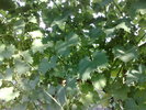 020720104911