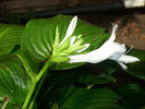 DSCI0671