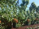 06062010423
