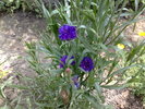040720104960