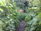 050720105023