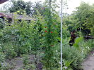 050720105025