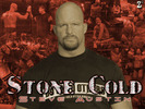 Stone Cold Steve Austin2