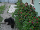 ...ghici ciuperca...unde sunt????