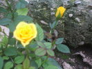 DSCF0599