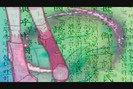 bscap083