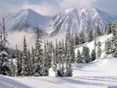 wwwwallpapereeu-winter_wonderland_british_columb