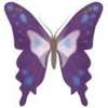 Butterfly-Avatars_263