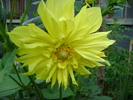 DSC07391