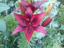 DSC05209
